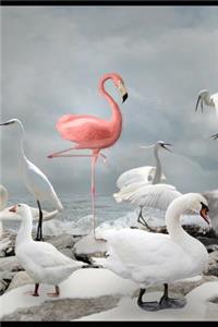 What Makes You Different Makes You Beautiful
