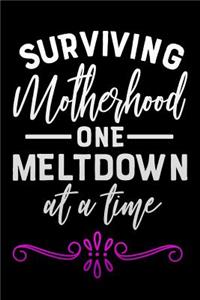 surviving motherhood one meltdown at a time