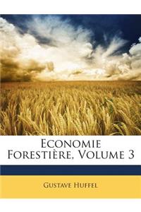 Economie Forestière, Volume 3