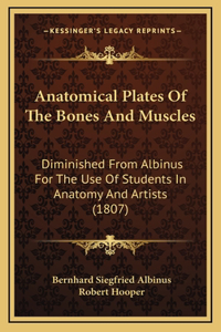 Anatomical Plates Of The Bones And Muscles