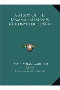 A Study Of The Mammalian Genus Chilonycteris (1904)