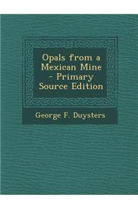 Opals from a Mexican Mine