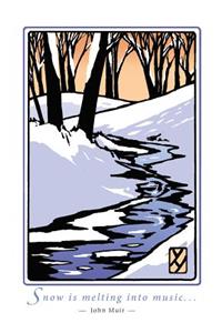 Snow by Muir