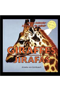 Giraffes/Jirafas