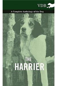 The Harrier - A Complete Anthology of the Dog