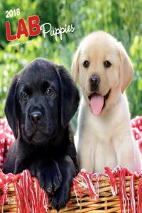 Labrador Retriever Puppies 2018 Wall Calendar