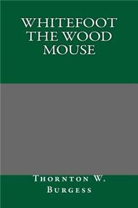 Whitefoot the Wood Mouse
