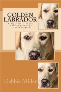 Golden Labrador