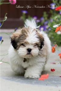 Lhasa Apso November Notebook Lhasa Apso Record, Log, Diary, Special Memories, To Do List, Academic Notepad, Scrapbook & More