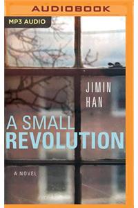Small Revolution