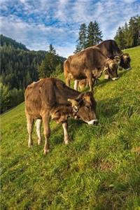 Brown Cows in an Alpine Meadow Journal