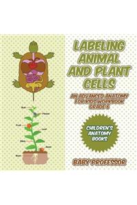 Labeling Animal and Plant Cells - An Advanced Anatomy for Kids Workbook Grade 6 Children's Anatomy Books