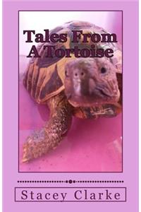 Tales From A Tortoise