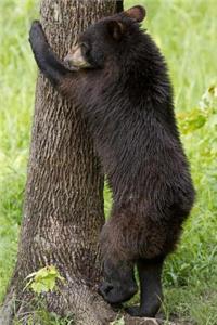 A Tree Hugging Baby Black Bear Cub Journal