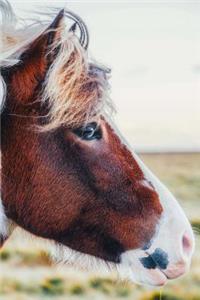 Sweet Pony in Profile Portrait Horse Journal