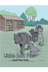 Little Soft Paw