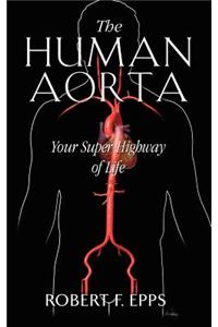 The Human Aorta