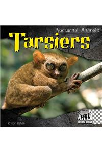 Tarsiers