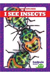 I See Insects