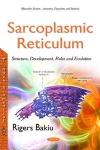 Sarcoplasmic Reticulum