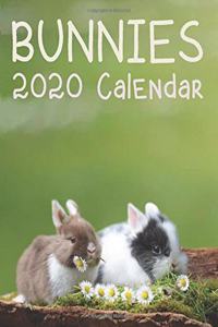 Bunnies 2020 Calendar