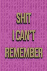 Shit I Can't Remember