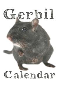 Gerbil Calendar