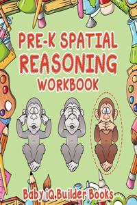 Pre-K Spatial Reasoning Workbook