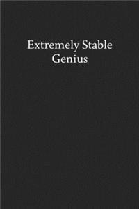 Extremely Stable Genius