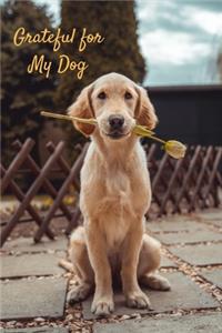 Grateful for My Dog