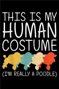 this is my human costume (I'm really a poodle)