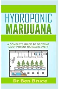 Hydroponic Marijuana