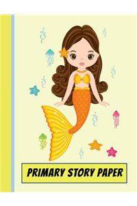 Primary Story Paper