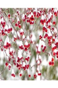 Winter Berries Red White Christmas Colors Snowstorm School Comp Book 130 Pages