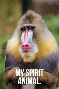 My Spirit Animal: Mandrill Monkey Journal