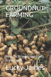 Groundnut Farming