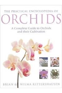 THE PRACTICAL ENCYCLOPEDIA OF ORCHIDS