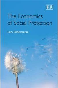 The Economics of Social Protection