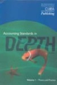 accountancy standards in Depth