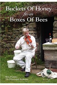 Buckets of Honey from Boxes of Bees
