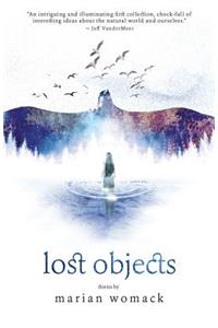 Lost Objects