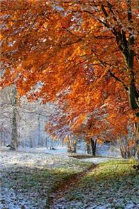 Dusting of Snow in Autumn Journal