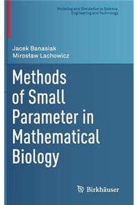 Methods of Small Parameter in Mathematical Biology