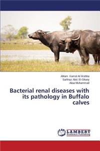 Bacterial renal diseases with its pathology in Buffalo calves