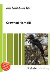 Crowned Hornbill