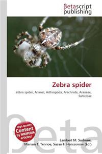 Zebra Spider