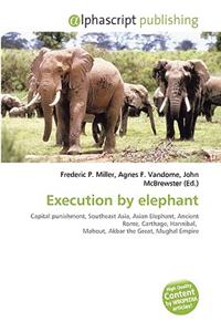 Execution by Elephant