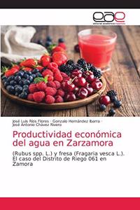 Productividad económica del agua en Zarzamora