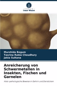 Anreicherung von Schwermetallen in Insekten, Fischen und Garnelen