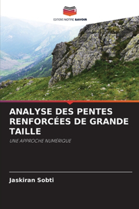 Analyse Des Pentes Renforcées de Grande Taille